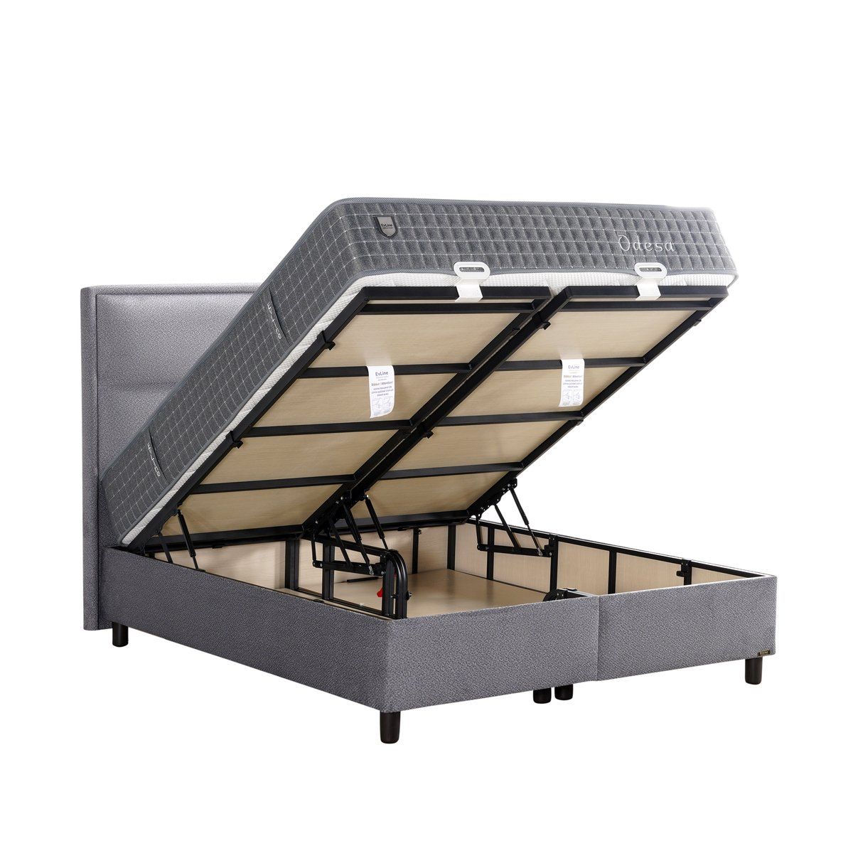 Evline Odesa — Bild 4