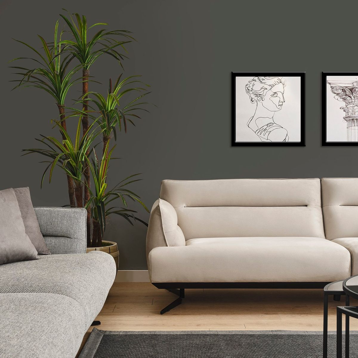 Polo Grau — Bild 5