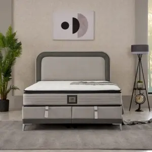 LION Grau, Bild 1