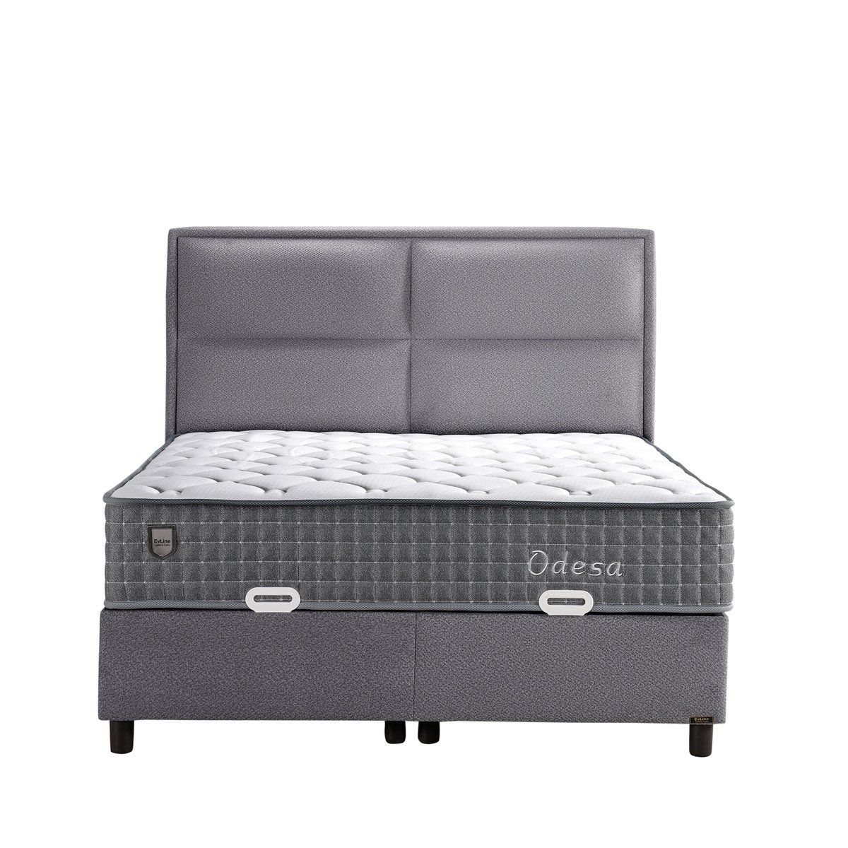 Evline Odesa — Bild 1