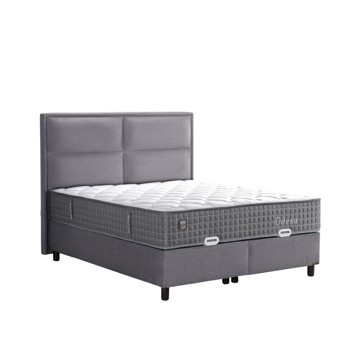 Evline Odesa — Bild 2